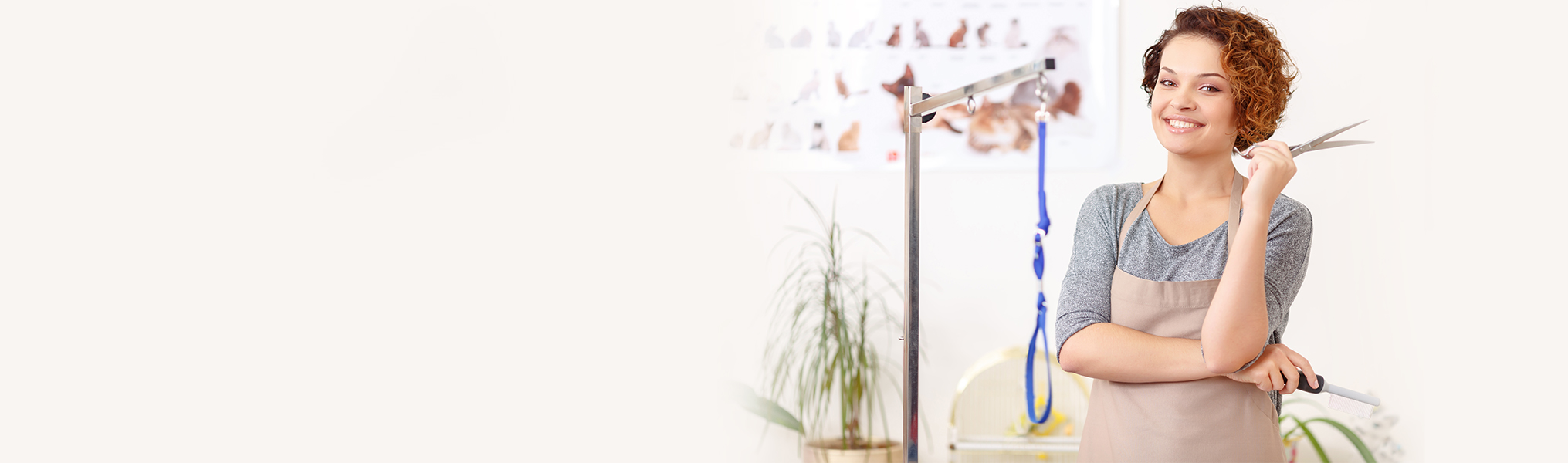 Home Andy's Pet Grooming & Daycare