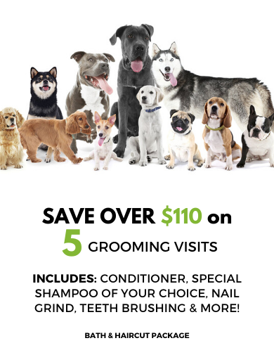 5 GROOMING VISITS