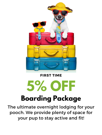 5% OFF BOARDING STAY