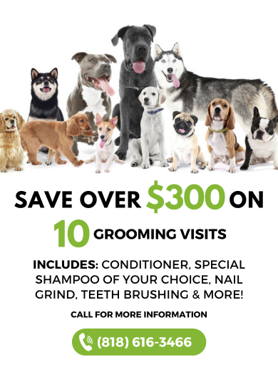 10 GROOMING VISITS